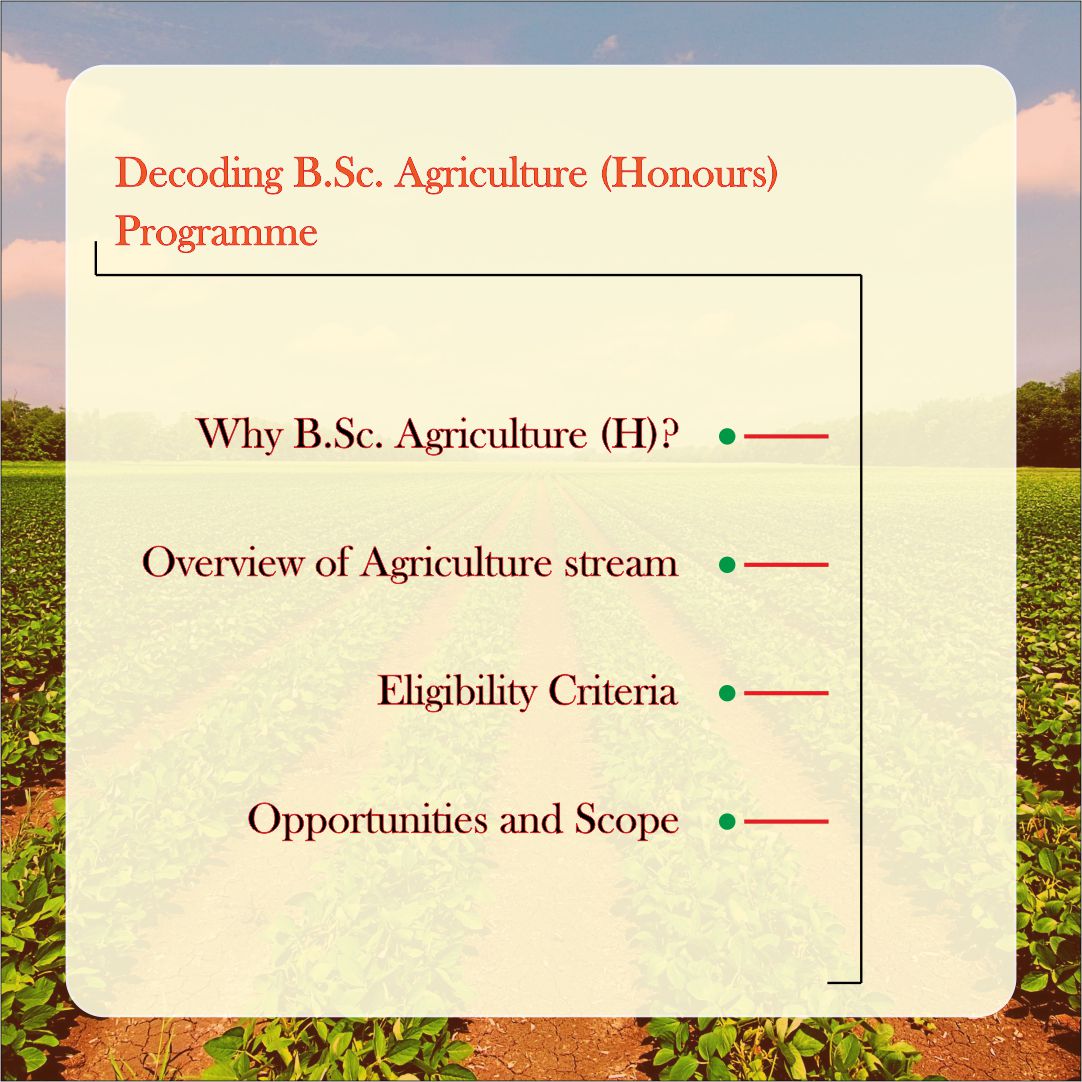 Scope and Opportunities of B.Sc. Agriculture (H)
