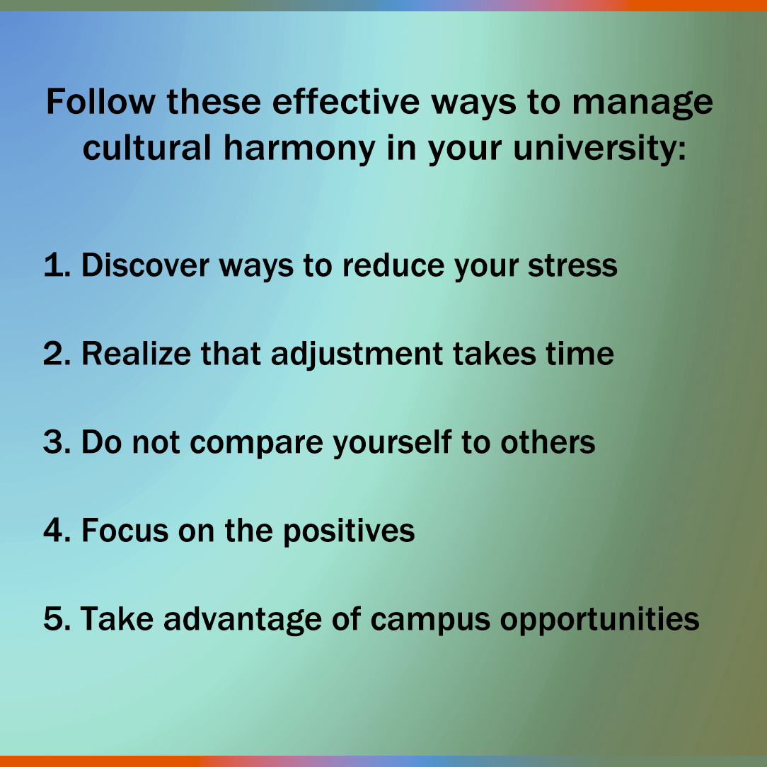 effective way to manage cultural harmony