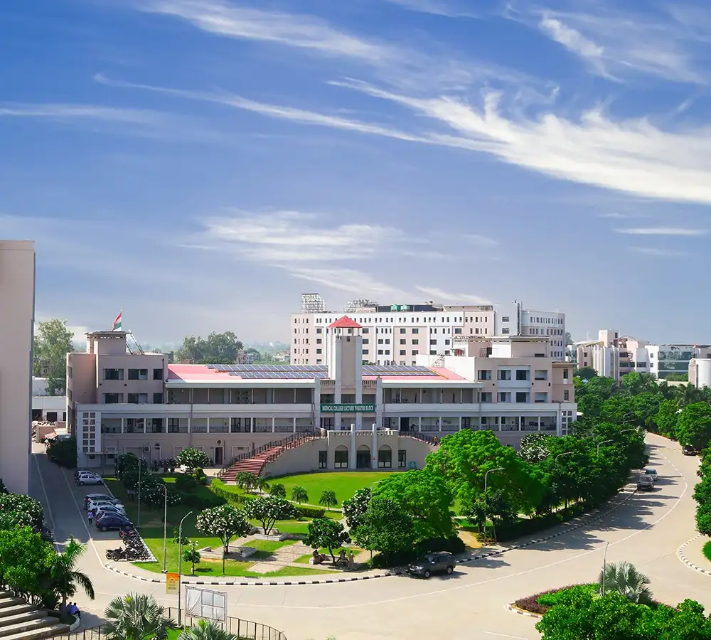 IT & Medical LT Block