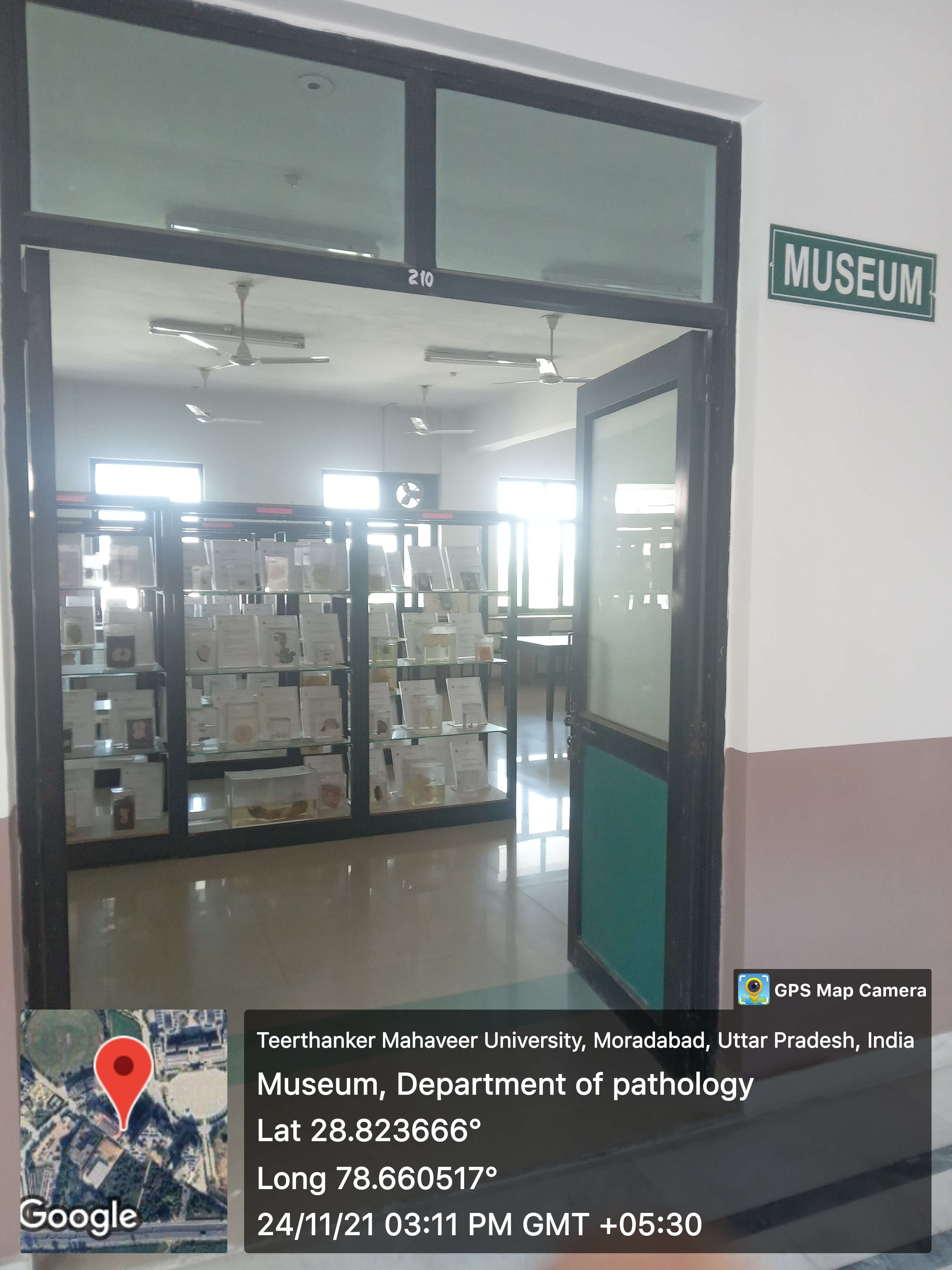 Medical Museum