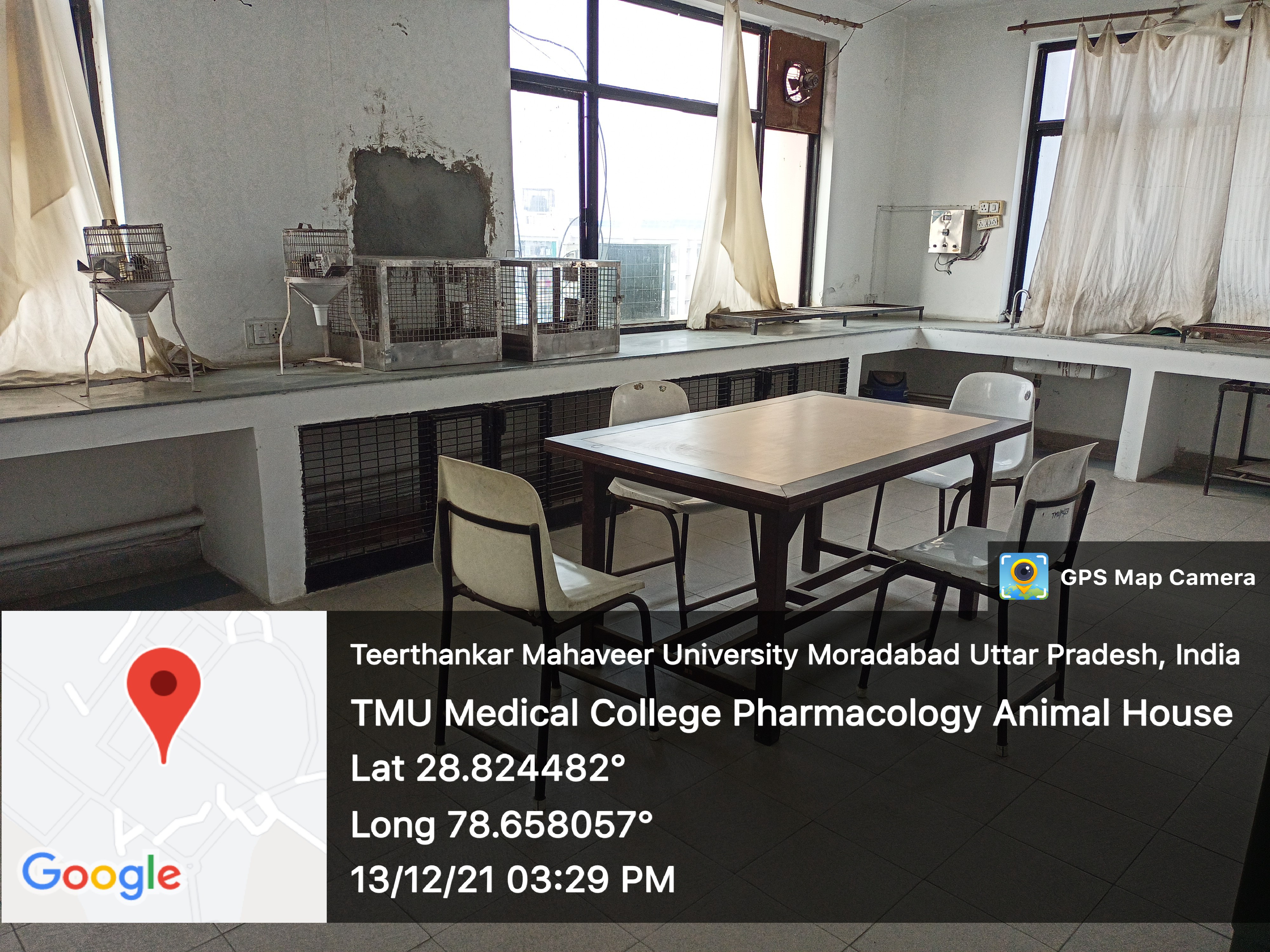 TTMU pharmacology