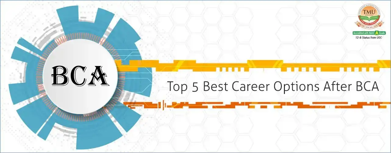 Top 5 Best Career Options After BCA | TMU Blogs