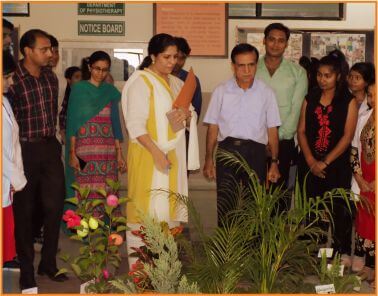 Teerthanker mahaveer university faculty planting plant & tree