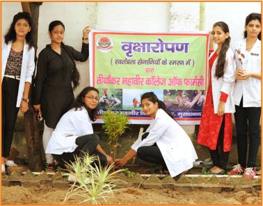 TMU college of pharmacy students planting tree